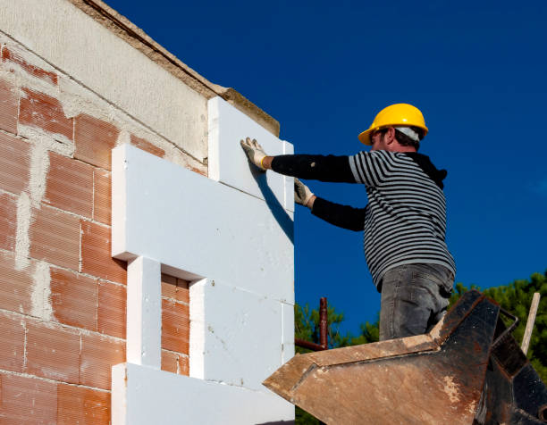 Best Insulation Contractors for Homes  in St Pauls, NC