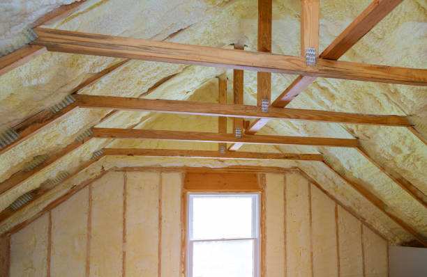 Best Residential Insulation Services  in St Pauls, NC