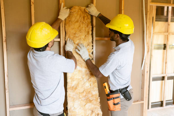 Best Insulation Inspection Services  in St Pauls, NC