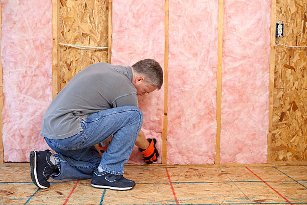 Best Commercial Insulation Contractor  in St Pauls, NC