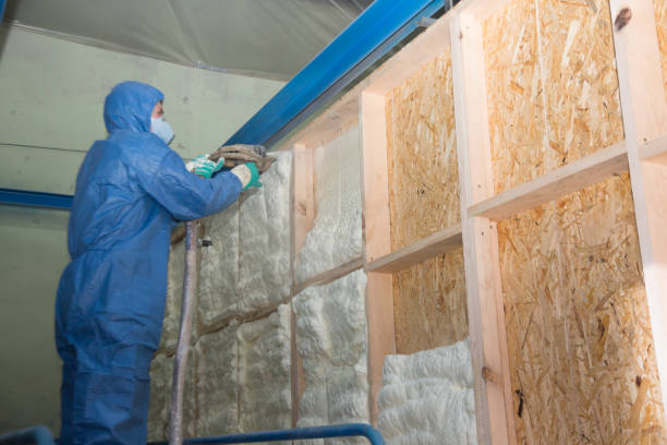 Best Spray Foam Insulation  in St Pauls, NC