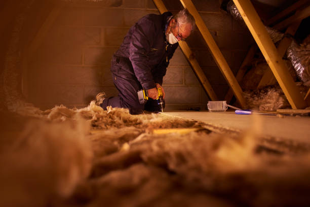 Best Wall Insulation Contractor  in St Pauls, NC